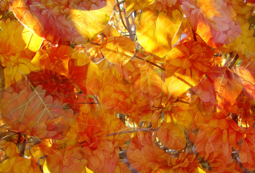 992332 (a): :1920x1303